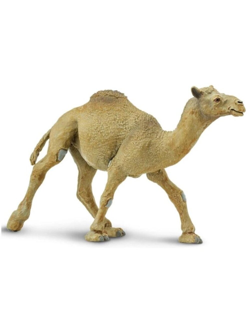 Safari Ltd Dromedary Camel Figurine Collectible Desert Animal Figure 222429 NEW